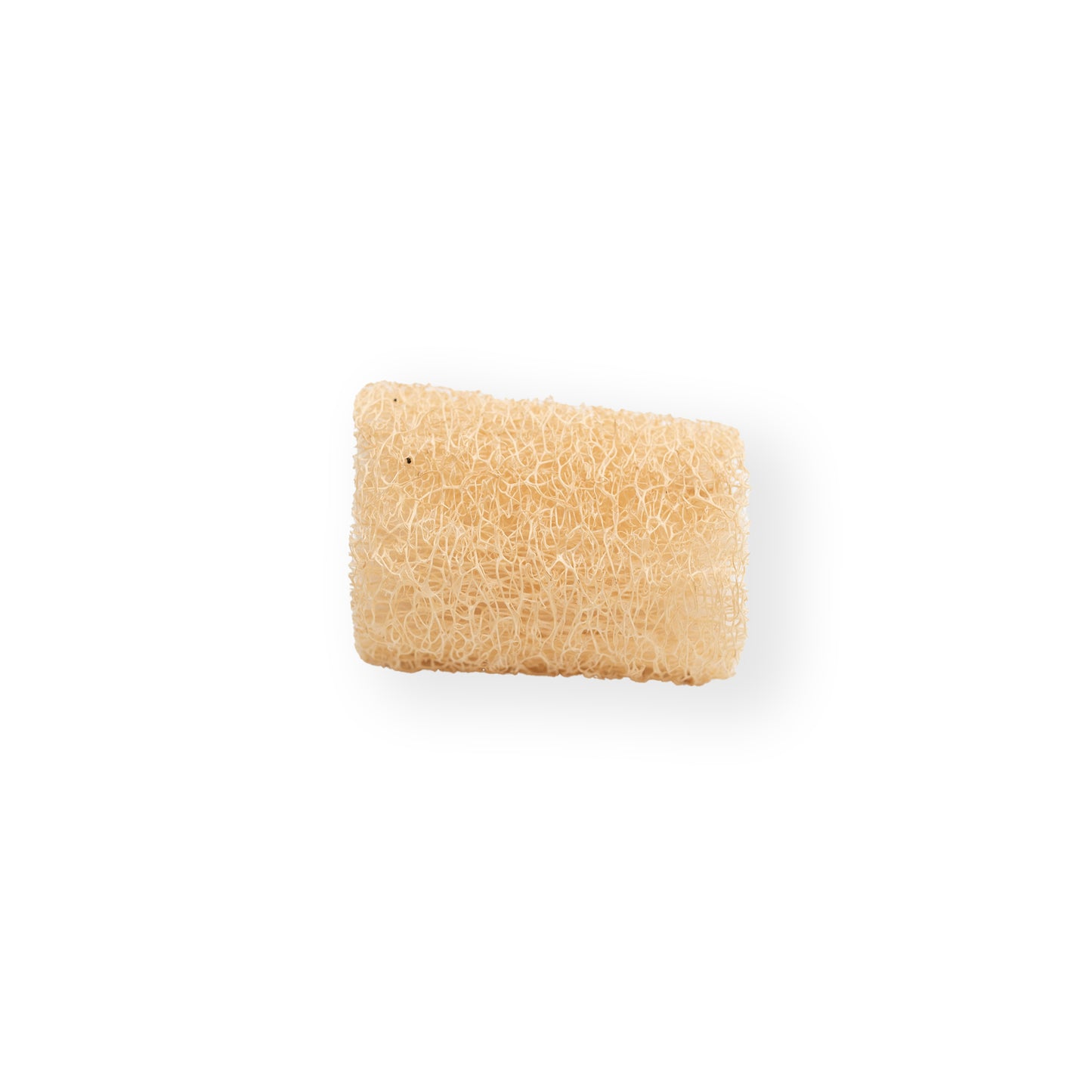 Luffa, Loufa, Loufah !