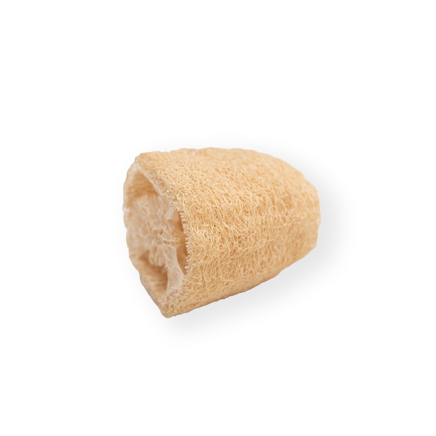 Luffa, Loufa, Loufah !
