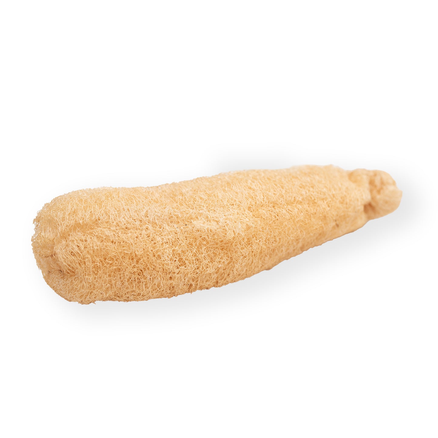 Luffa, Loufa, Loufah !