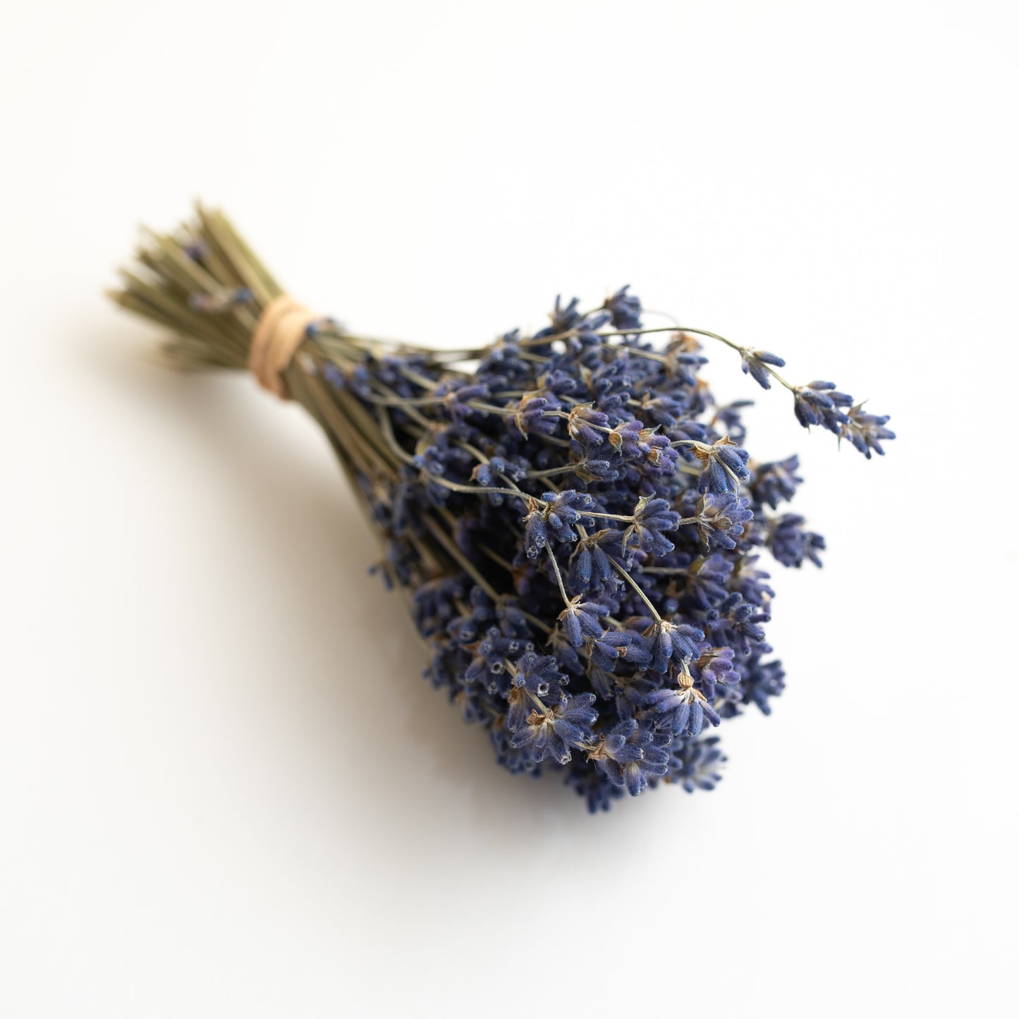 Dried organic Munstead lavender bouquet
