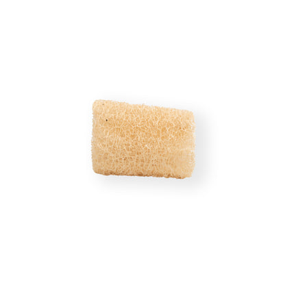 Luffa, Loufa, Loufah !