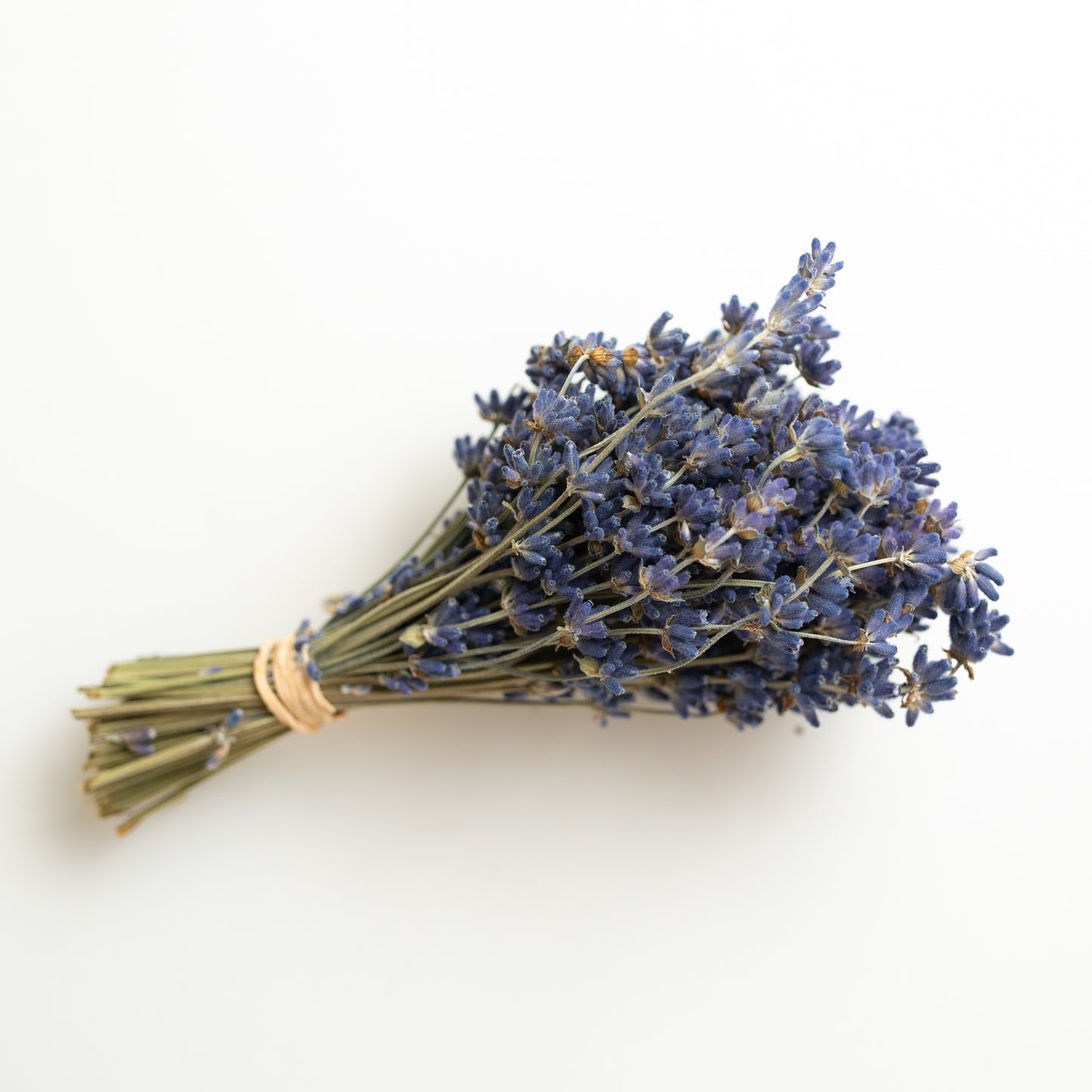 Dried organic Munstead lavender bouquet